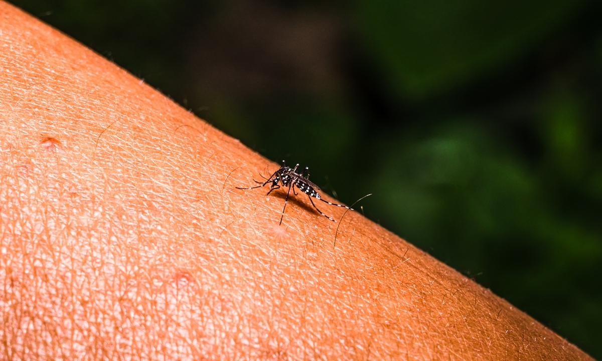 Phó Thủ tướng Trung Quốc kiểm tra công tác phòng chống dịch sốt Chikungunya